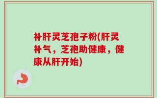 补肝灵芝孢子粉(肝灵补气，芝孢助健康，健康从肝开始)