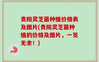 贵阳灵芝菌种植价格表及图片(贵阳灵芝菌种植的价格及图片，一览无余！)