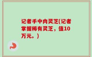 记者手中肉灵芝(记者掌握稀有灵芝，值10万元。)