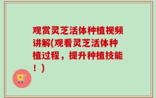 观赏灵芝活体种植视频讲解(观看灵芝活体种植过程，提升种植技能！)