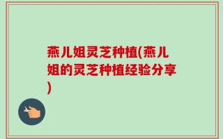燕儿姐灵芝种植(燕儿姐的灵芝种植经验分享)