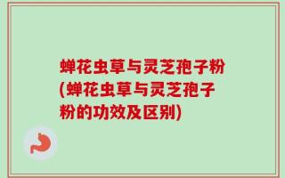 蝉花虫草与灵芝孢子粉(蝉花虫草与灵芝孢子粉的功效及区别)