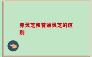 赤灵芝和普通灵芝的区别