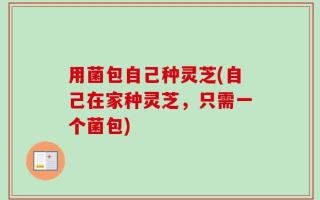 用菌包自己种灵芝(自己在家种灵芝，只需一个菌包)