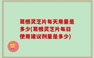 葛根灵芝片每天用量是多少(葛根灵芝片每日使用建议剂量是多少)