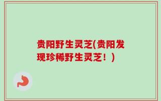 贵阳野生灵芝(贵阳发现珍稀野生灵芝！)