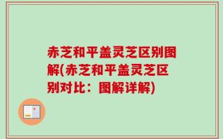赤芝和平盖灵芝区别图解(赤芝和平盖灵芝区别对比：图解详解)