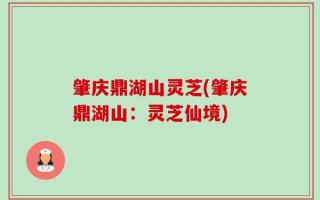 肇庆鼎湖山灵芝(肇庆鼎湖山：灵芝仙境)