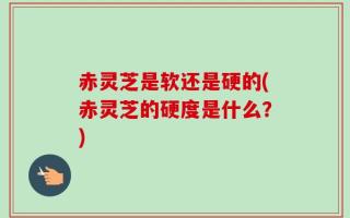 赤灵芝是软还是硬的(赤灵芝的硬度是什么？)