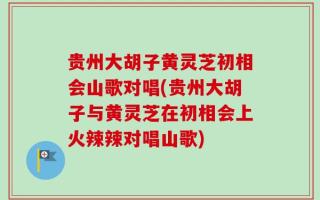 贵州大胡子黄灵芝初相会山歌对唱(贵州大胡子与黄灵芝在初相会上火辣辣对唱山歌)