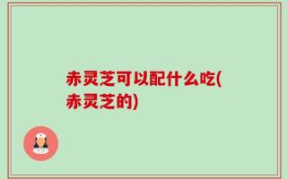 赤灵芝可以配什么吃(赤灵芝的)
