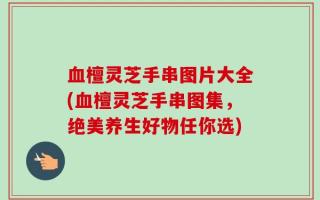 血檀灵芝手串图片大全(血檀灵芝手串图集，绝美养生好物任你选)