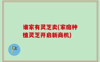 谁家有灵芝卖(家庭种植灵芝开启新商机)
