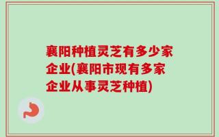 襄阳种植灵芝有多少家企业(襄阳市现有多家企业从事灵芝种植)