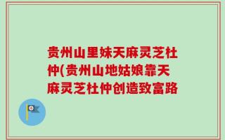 贵州山里妹天麻灵芝杜仲(贵州山地姑娘靠天麻灵芝杜仲创造致富路