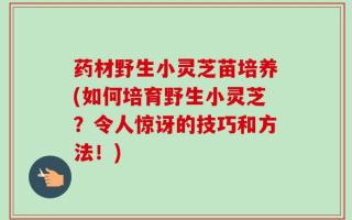 药材野生小灵芝苗培养(如何培育野生小灵芝？令人惊讶的技巧和方法！)