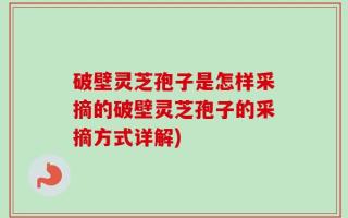 破壁灵芝孢子是怎样采摘的破壁灵芝孢子的采摘方式详解)