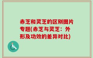 赤芝和灵芝的区别图片专题(赤芝与灵芝：外形及功效的差异对比)