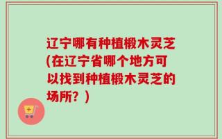 辽宁哪有种植椴木灵芝(在辽宁省哪个地方可以找到种植椴木灵芝的场所？)