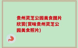 贵州灵芝公园美食图片欣赏(赏味贵州灵芝公园美食照片)