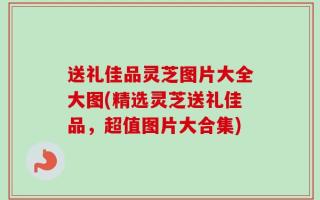 送礼佳品灵芝图片大全大图(精选灵芝送礼佳品，超值图片大合集)