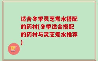 适合冬季灵芝煮水搭配的药材(冬季适合搭配的药材与灵芝煮水推荐)