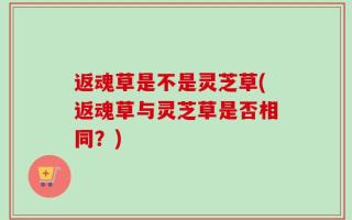 返魂草是不是灵芝草(返魂草与灵芝草是否相同？)
