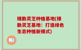臻勤灵芝种植基地(臻勤灵芝基地：打造绿色生态种植新模式)
