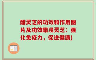 醋灵芝的功效和作用图片及功效醋浸灵芝：强化免疫力，促进健康)