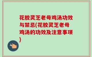 花胶灵芝老母鸡汤功效与禁忌(花胶灵芝老母鸡汤的功效及注意事项)