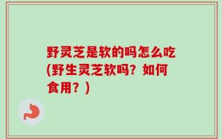 野灵芝是软的吗怎么吃(野生灵芝软吗？如何食用？)
