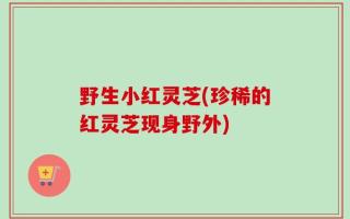 野生小红灵芝(珍稀的红灵芝现身野外)