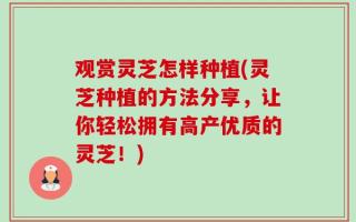 观赏灵芝怎样种植(灵芝种植的方法分享，让你轻松拥有高产优质的灵芝！)