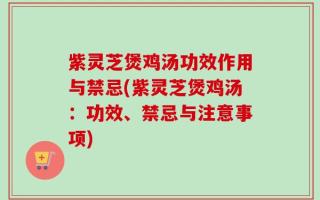 紫灵芝煲鸡汤功效作用与禁忌(紫灵芝煲鸡汤：功效、禁忌与注意事项)
