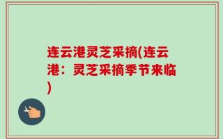 连云港灵芝采摘(连云港：灵芝采摘季节来临)
