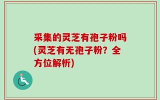 采集的灵芝有孢子粉吗(灵芝有无孢子粉？全方位解析)