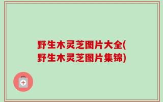 野生木灵芝图片大全(野生木灵芝图片集锦)