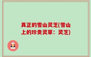 真正的雪山灵芝(雪山上的珍贵灵草：灵芝)
