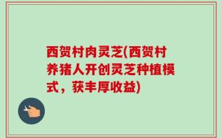 西贺村肉灵芝(西贺村养猪人开创灵芝种植模式，获丰厚收益)