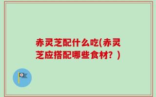 赤灵芝配什么吃(赤灵芝应搭配哪些食材？)