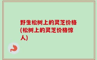 野生松树上的灵芝价格(松树上的灵芝价格惊人)