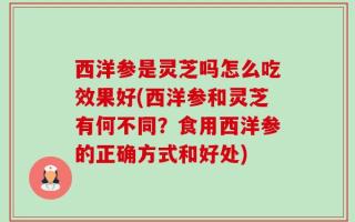 西洋参是灵芝吗怎么吃效果好(西洋参和灵芝有何不同？食用西洋参的正确方式和好处)