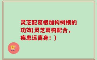灵芝配葛根加构树根的功效(灵芝葛构配合，疾患远离身！)