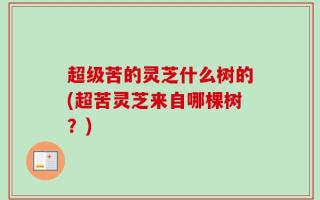 超级苦的灵芝什么树的(超苦灵芝来自哪棵树？)
