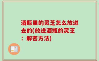 酒瓶里的灵芝怎么放进去的(放进酒瓶的灵芝：解密方法)