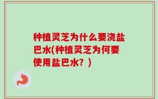 种植灵芝为什么要浇盐巴水(种植灵芝为何要使用盐巴水？)