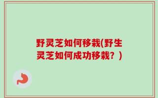 野灵芝如何移栽(野生灵芝如何成功移栽？)