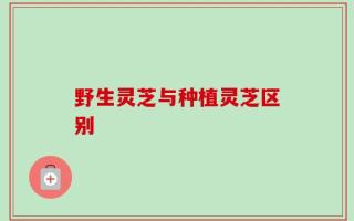 野生灵芝与种植灵芝区别