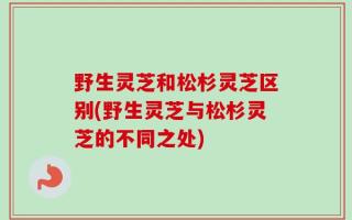 野生灵芝和松杉灵芝区别(野生灵芝与松杉灵芝的不同之处)