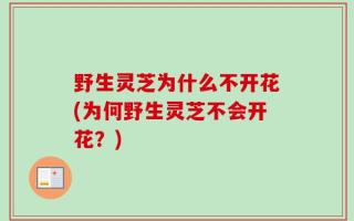 野生灵芝为什么不开花(为何野生灵芝不会开花？)